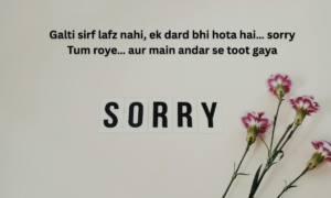 Top 135+ Sorry Shayari in Hindi 2026